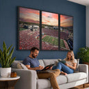 Indiana Memorial Stadium Wall Art Canvas Print, Framed