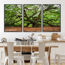 Majestic Oak Tree Wall Art Canvas Print – Ancient Branches by MyGreatCanvas | Canvas Wall Art Prints | Photo Prints & Wall Decor