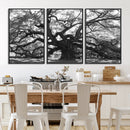 Ancient Oak Wall Art Canvas Print, Majestic Twisted Branches by MyGreatCanvas | Canvas Wall Art Prints | Photo Prints & Wall Decor