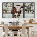 Texas Longhorn Wall Art Canvas Print – Framed Spotted Bull