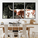 Texas Longhorn Wall Art Canvas Print – Framed Spotted Bull by MyGreatCanvas | Canvas Wall Art Prints | Photo Prints & Wall Decor
