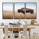 Wild Bison Wall Art – Framed Prairie Landscape Canvas by MyGreatCanvas | Canvas Wall Art Prints | Photo Prints & Wall Decor