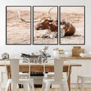 Texas Longhorn Wall Art – Framed Resting Bull Canvas by MyGreatCanvas | Canvas Wall Art Prints | Photo Prints & Wall Decor