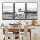 White Horse Wall Art Canvas Print – Framed Woman Rider