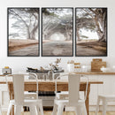 Cypress Tunnel Wall Art – Framed Misty Road Canvas Artwork, by MyGreatCanvas | Canvas Wall Art Prints | Photo Prints & Wall Decor