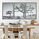 Joshua Tree Wall Art Canvas Print – Framed Black White