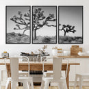 Joshua Tree Wall Art Canvas Print – Framed Monochrome Desert