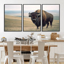 Bison Wall Art Canvas Print – Framed Buffalo American Bison