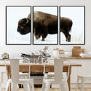 Bison Wall Art Canvas Print – Framed Western Wildlife