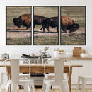 Bison Wall Art Canvas Print – Framed Western Wildlife Modern by MyGreatCanvas | Canvas Wall Art Prints | Photo Prints & Wall Decor