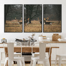 Deer Wall Art Canvas Print – Framed Rustic Wildlife Stags