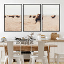 Bison Herd Wall Art Canvas Print – Framed Western Prairie by MyGreatCanvas | Canvas Wall Art Prints | Photo Prints & Wall Decor