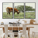 Texas Longhorn Wall Art Canvas Print – Rustic Western Ranch by MyGreatCanvas | Canvas Wall Art Prints | Photo Prints & Wall Decor