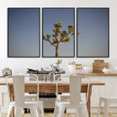 Joshua Tree Wall Art Canvas Print – Framed Southwestern