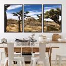 Joshua Tree Desert Wall Art Canvas Print – Framed