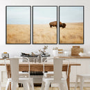 Buffalo Wall Art Canvas Print – Framed Western Wildlife by MyGreatCanvas | Canvas Wall Art Prints | Photo Prints & Wall Decor