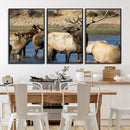 Wild Elk Wall Art Canvas Print – Framed Neutral Wildlife