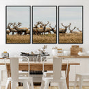 Elk Herd Wall Art Canvas Print – Framed Wildlife Photography