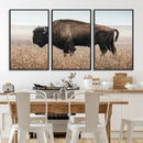 American Bison Wall Art Canvas Print – Majestic Buffalo