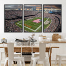 Chicago Bears Soldiers Field Wall Art Canvas Print – Framed