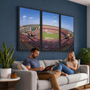 William Brice Stadium Wall Art Canvas Print – Stadium Crowd