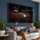 William Brice Stadium Wall Art Print – Baseball Game Room