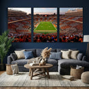 Tennessee Neyland Stadium Wall Art, Sports Arena Canvas by MyGreatCanvas | Canvas Wall Art Prints | Photo Prints & Wall Decor