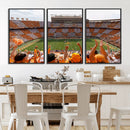 Tennessee Neyland Stadium Wall Art, Sports Arena Canvas by MyGreatCanvas | Canvas Wall Art Prints | Photo Prints & Wall Decor