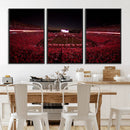 Dooley Stadium Wall Art, Sports Arena Canvas Print, Dooley by MyGreatCanvas | Canvas Wall Art Prints | Photo Prints & Wall Decor