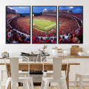 Dooley Stadium Wall Art, Sports Arena Canvas Print, Dooley by MyGreatCanvas | Canvas Wall Art Prints | Photo Prints & Wall Decor