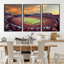 Dooley Stadium Wall Art, Sports Arena Canvas Print, Dooley by MyGreatCanvas | Canvas Wall Art Prints | Photo Prints & Wall Decor