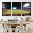 Dooley Stadium Wall Art, Sports Arena Panoramic Canvas by MyGreatCanvas | Canvas Wall Art Prints | Photo Prints & Wall Decor