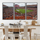 Jordan-Hare Stadium Wall Art Canvas Print, College Sports by MyGreatCanvas | Canvas Wall Art Prints | Photo Prints & Wall Decor