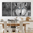 Wild Wolf Blue Eye Wall Art Canvas Print