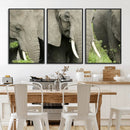 Wild Elephant Wall Art Canvas Print by MyGreatCanvas | Canvas Wall Art Prints | Photo Prints & Wall Decor