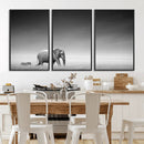 Elephand and Zebra Wall Art Canvas Print, Modern Artwork