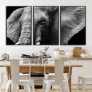 Big Elephant Close Up Wall Art Canvas Print