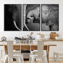 Elephant Family Wall Art Canvas, Framed Elephant Family by MyGreatCanvas | Canvas Wall Art Prints | Photo Prints & Wall Decor
