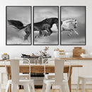 Wild Horses Wall Art Canvas Print – Framed Black and White