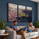 Ole Miss Rebels Vaught Hemingway Stadium Wall Art Canvas