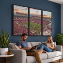 Donald W. Reynolds Razorback Stadium Wall Art Canvas Print –