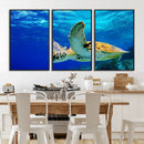 Sea Turtle Wall Art Canvas Print, Sea life in the Ocean Wall