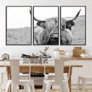 Newfoundland Cow Art Wall Art, Black White Cow Art Wall Art