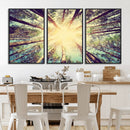 Tree and Sunshine Canvas Print