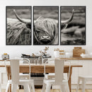 Cow Focus Canvas Wall Art Print by MyGreatCanvas | Canvas Wall Art Prints | Photo Prints & Wall Decor