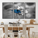 Blue Butterfly Black and White Canvas Wall Art by MyGreatCanvas | Canvas Wall Art Prints | Photo Prints & Wall Decor