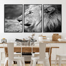 African Lion Wall Art Canvas Print – Majestic Wildlife