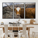 Texas Longhorn Canvas Wall Art - Longhorn Steer Canvas Wall by MyGreatCanvas | Canvas Wall Art Prints | Photo Prints & Wall Decor