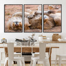 Lion Pair Wall Art Canvas Print – Framed Wildlife Scene with