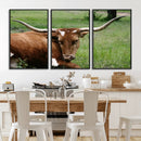 Longhorn Cow Animal Wall Art Canvas Print by MyGreatCanvas | Canvas Wall Art Prints | Photo Prints & Wall Decor
